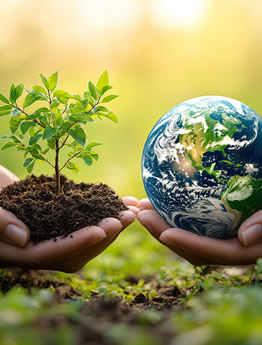 環(huán)境保護(hù)